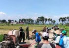Gotong Royong TNI-Rakyat Warnai Pengecoran Jalan TMMD Di Desa Solodiran Klaten
